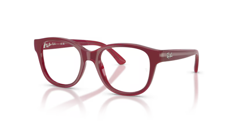 Ray-Ban Junior 0RY1950